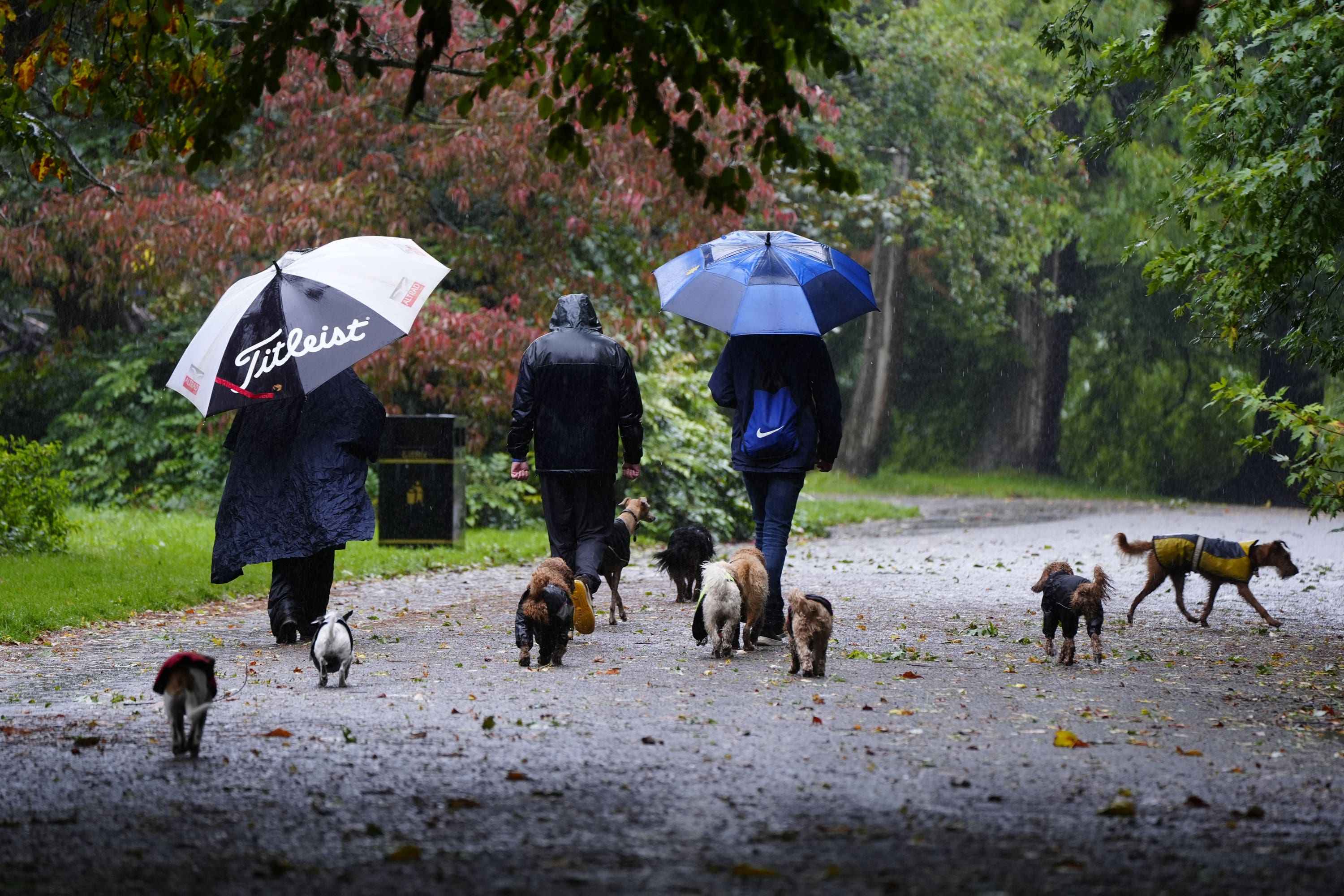 Thundery showers on Monday brought big downpours in some places (Peter Byrne/PA)