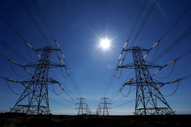 Electricity pylons run across Romney Marsh in Kent (Gareth Fuller/PA)