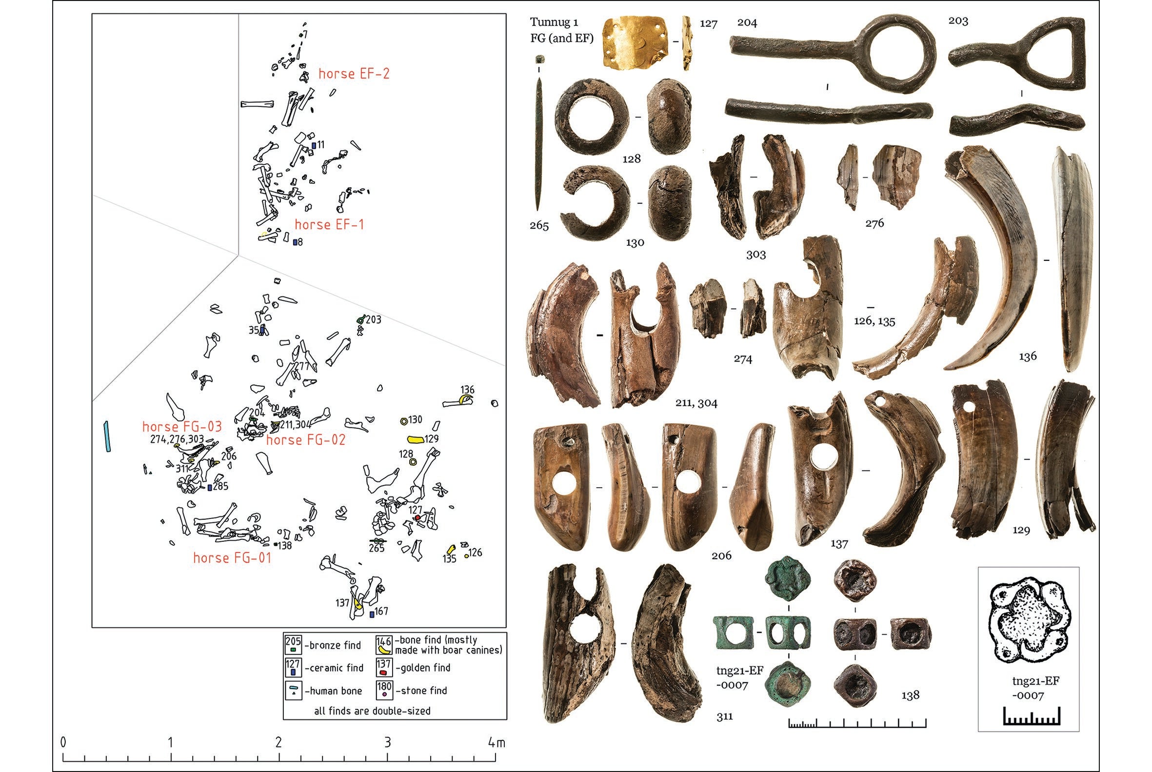 Finds from the burial site in southern Siberia