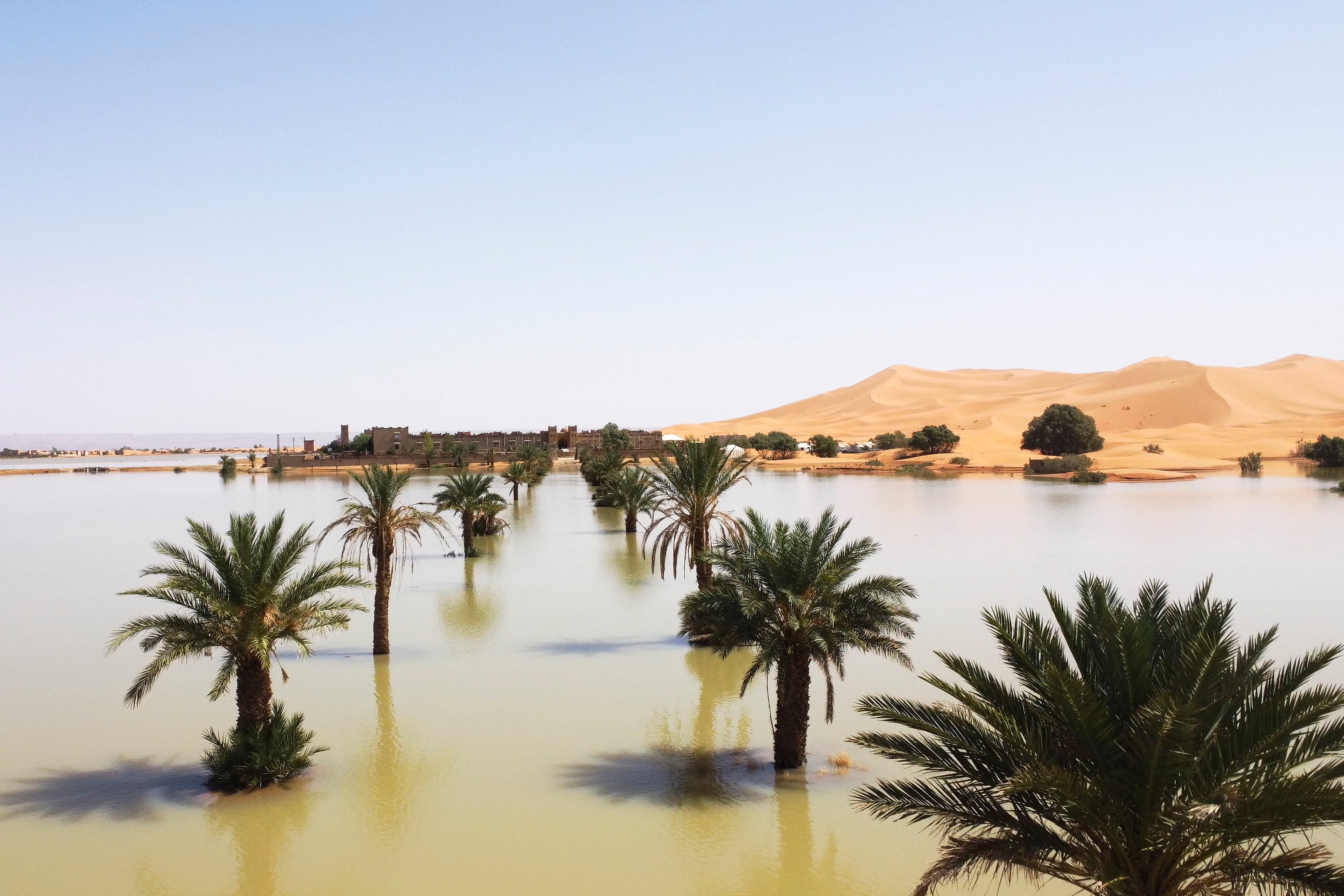 Palm trees are flooded in a lake caused by heavy rainfall in the desert town of Merzouga, near Rachidia