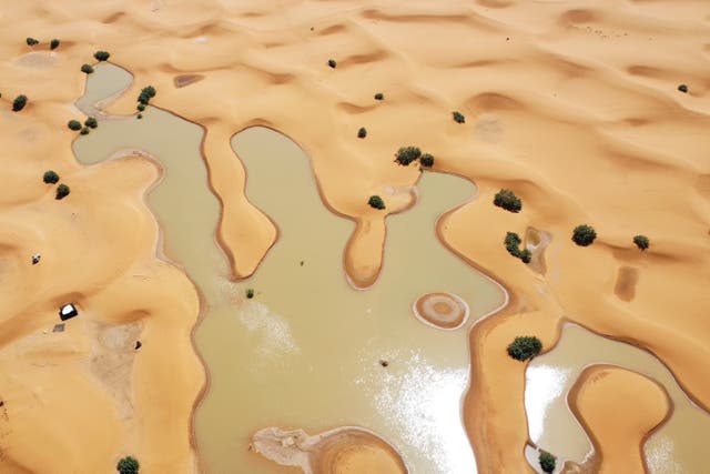 MARRUECOS-LLUVIA EN EL DESIERTO
