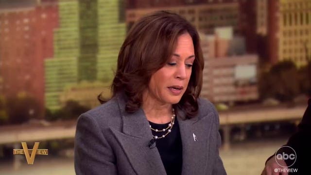 <p>Kamala Harris reveals the three words she said to Joe Biden when he passed the torch on 2024 election.</p>