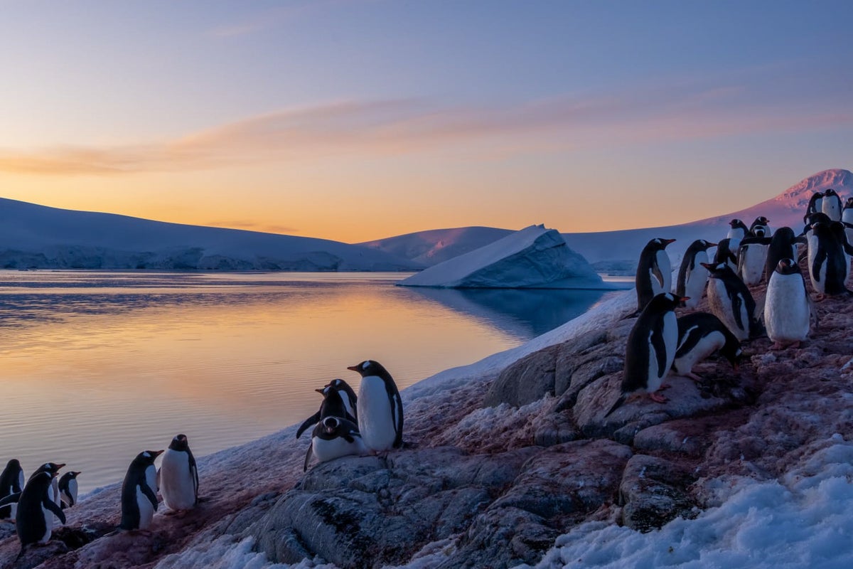 Trapped Antarctic scientists beg for rescue after ‘assaults from team member’