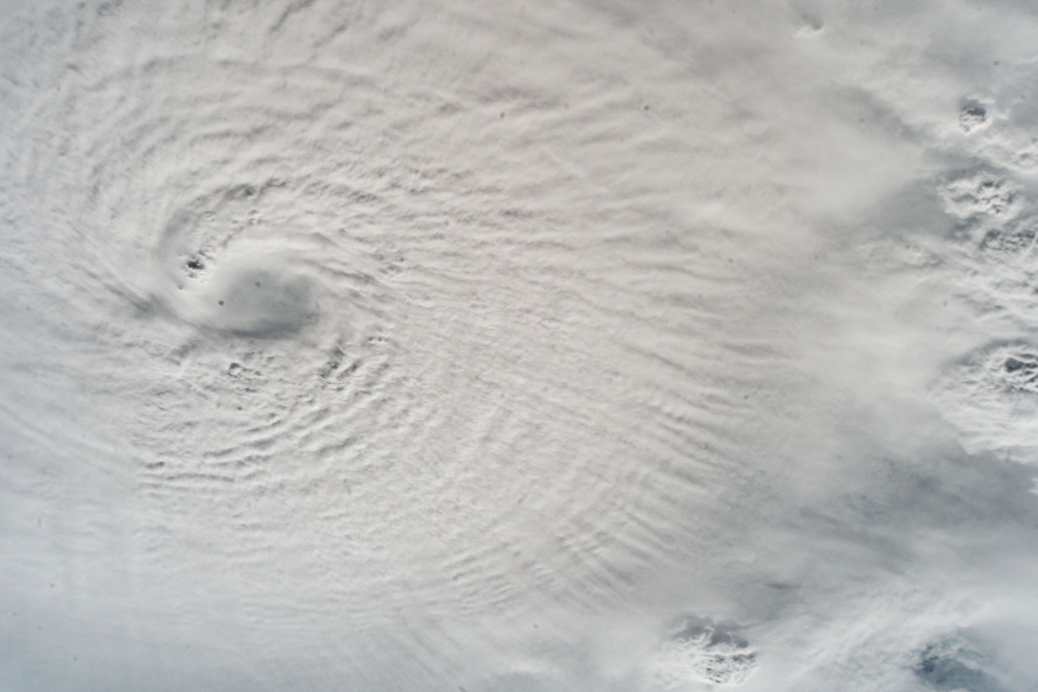 White House Joins Reddit To Share Urgent Hurricane Milton Update The 