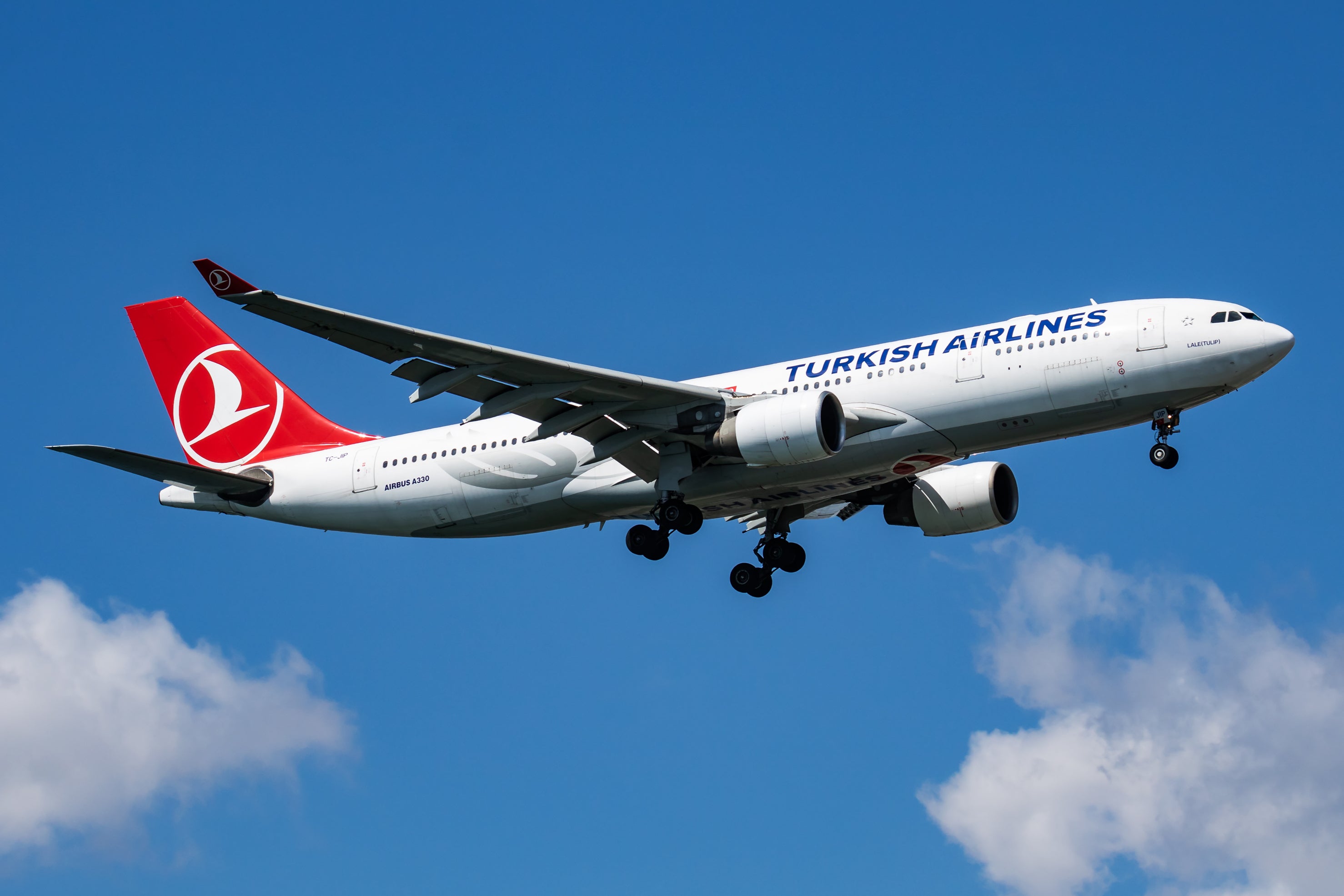 The pilot had worked for Turklish Airlines since 2007