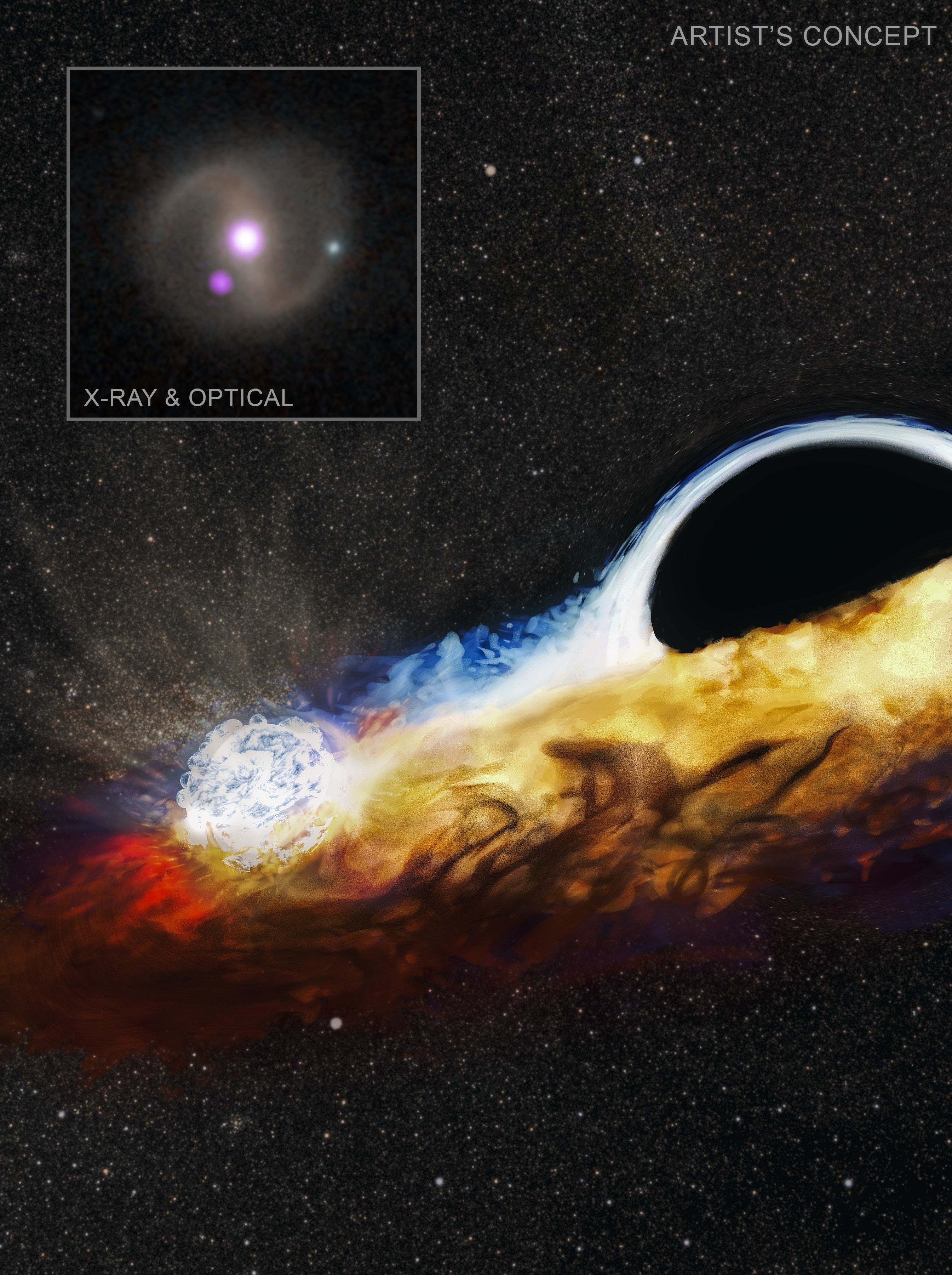 An artist’s impression of an orbiting star crashing through the accretion disc around a supermassive black hole and causing a burst of X-rays, with (inset) detection of X-rays (purple) with NASA’s Chandra X-ray Observatory, overlaid on a visible light image of the host galaxy