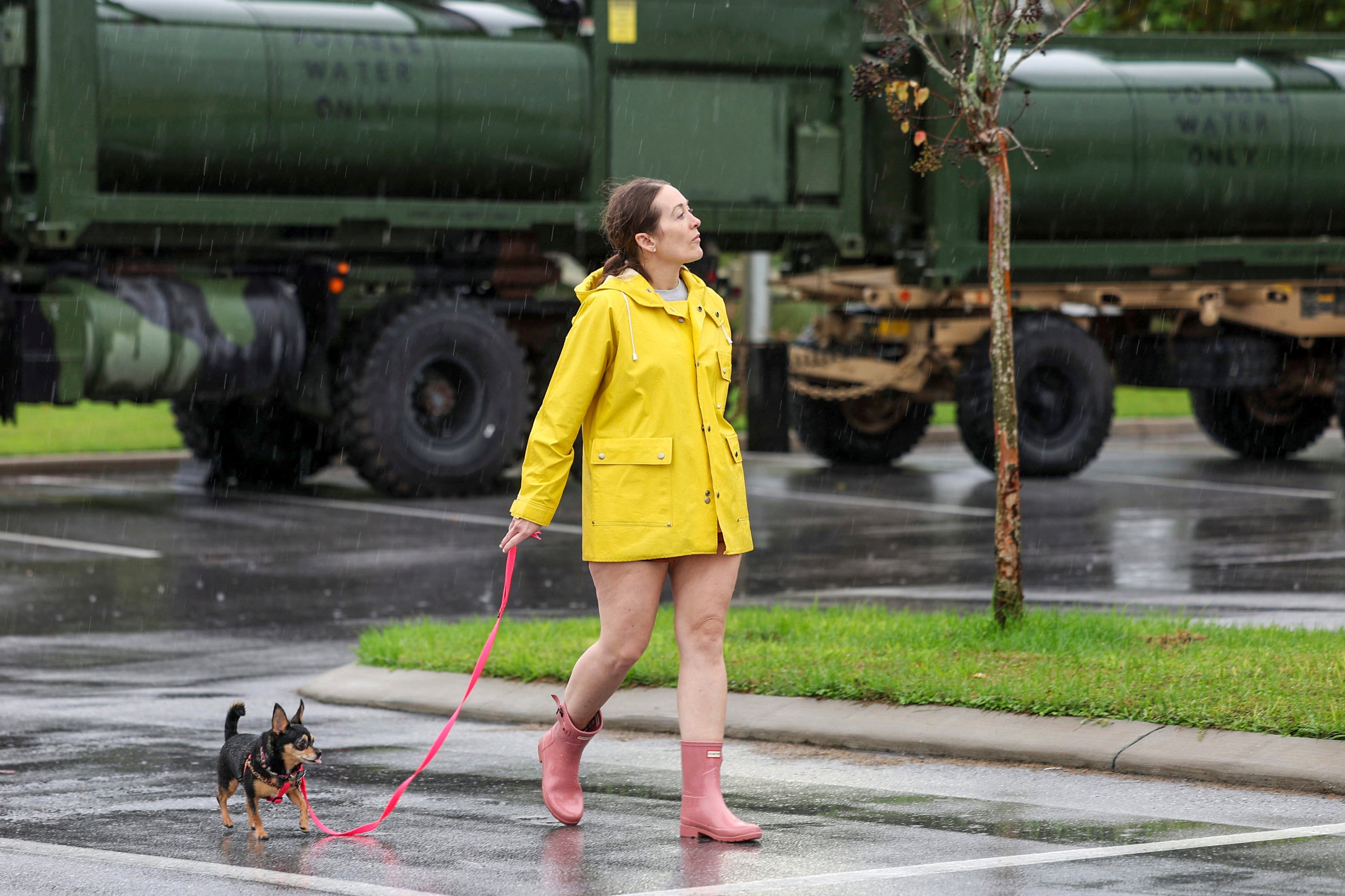 Mercoledì Erin Ferguson porta a spasso il suo cane a Port Richey, in Florida, prima dell'uragano Milton.