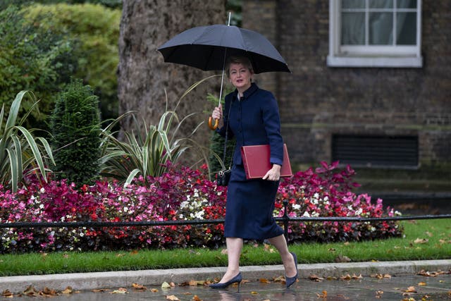 Home Secretary Yvette Cooper in Downing Street (Ben Whitley/PA)