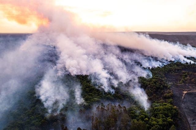 An aerial view of the fires that hit Brasilia National Park in September (Jacqueline Lisboa/WWF-UK/PA)