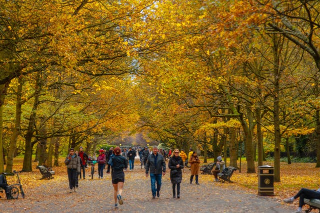 <p>Strolling through Regent’s Park, London </p>