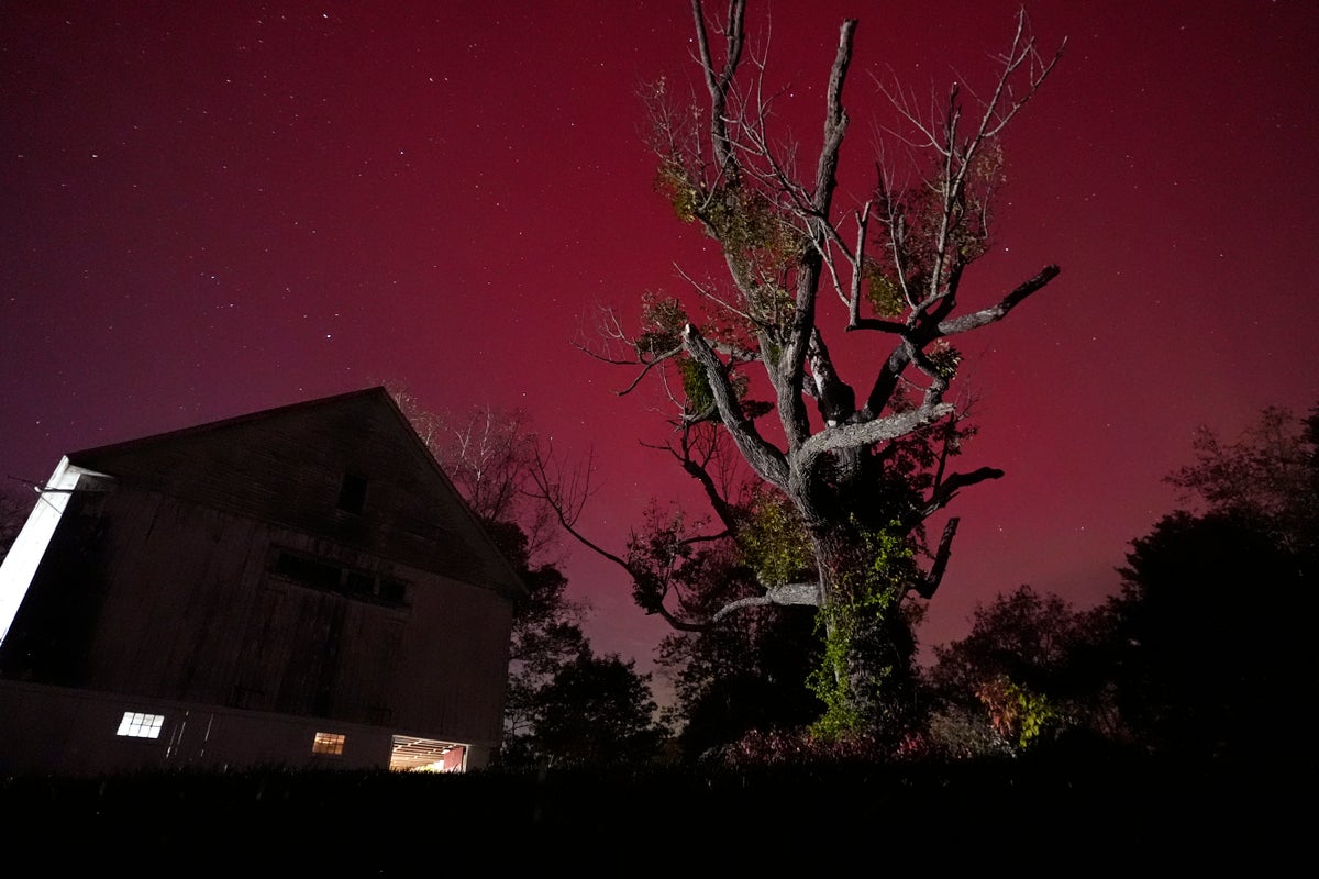 Missed out on the northern lights? Scientists expect…