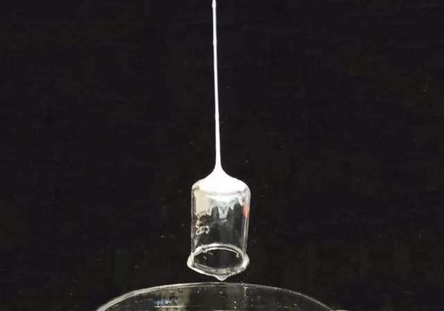 <p>Silk solution solidifies into sticky fibre and lifts glass beaker</p>