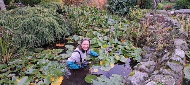 <p>Slowly, their unstoppable extensions / Shrank fish-space as if absorbing water</p>