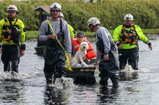 Alligators and stingrays could be loose in Florida floodwaters prompting warnings	