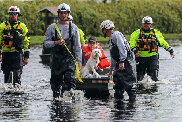 <p>Florida officials are warning that creatures such as alligators or snakes could be lurking in the floodwaters brought on by Hurricane Milton </p>