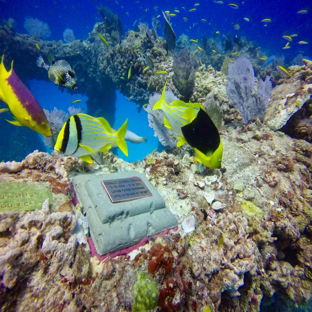 Is There Sea Life On Neptune