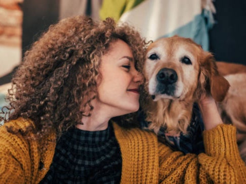 Hazel says refuges should allow pets as women may not want to leave their animals behind. Stock image