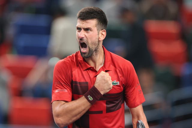 <p>Novak Djokovic beat Taylor Fritz in the semi-finals</p>