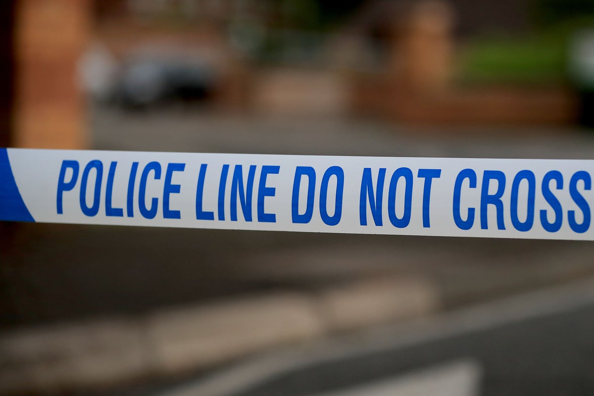 Police launch murder investigation after man shot dead in London | The ...