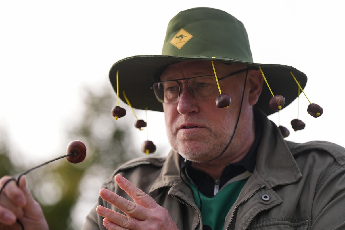 Fears over future of World Conker Championships due to climate change
