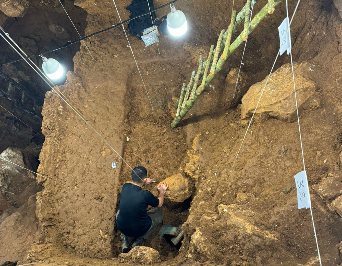 Tam Pà Ling cave excavation in Laos