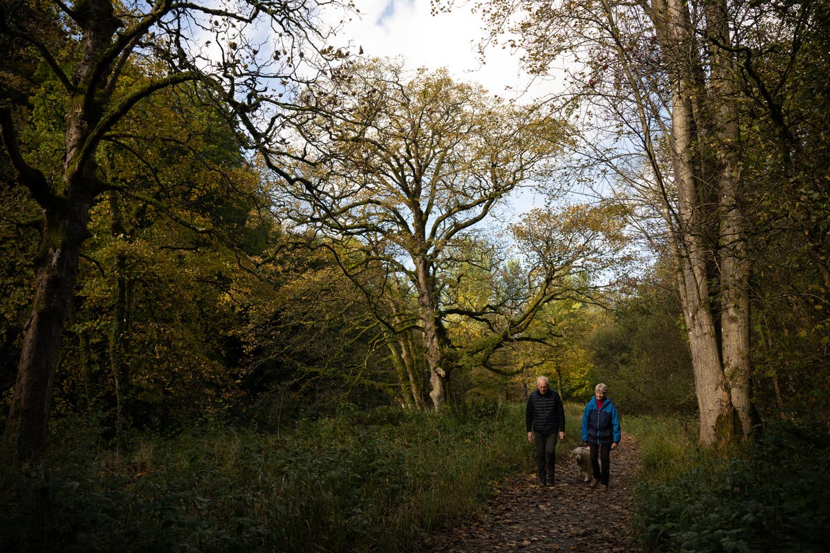 UK set for Autumn heat as temperatures could hit 22C this week