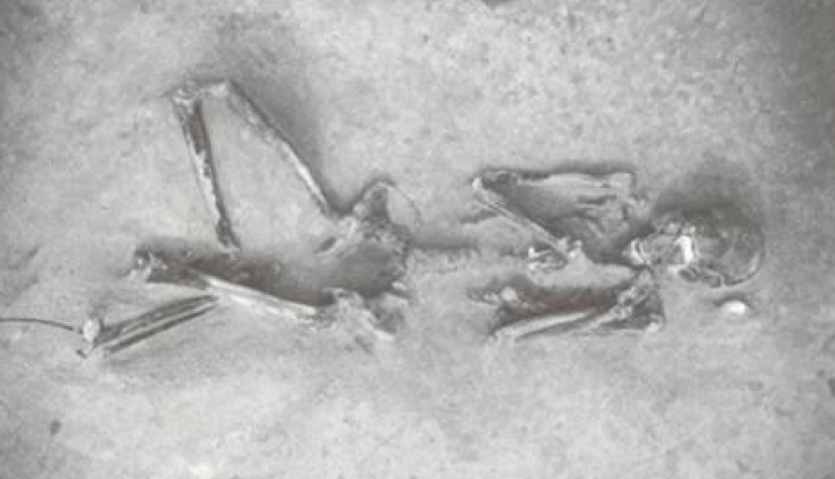 Genome study cracks mystery of Japan&rsquo;s first inhabitants