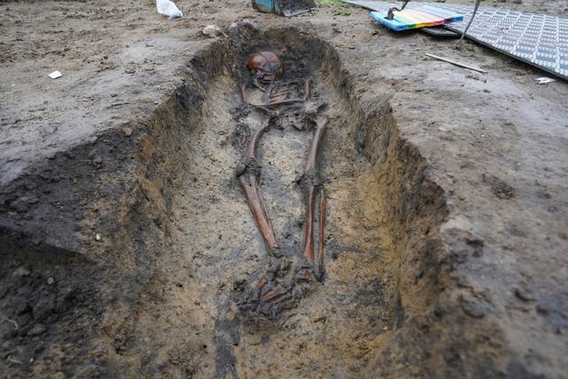 <p>Esqueletos y cráneos en la excavación de un cementerio vikingo del siglo X en Aasum, Dinamarca</p>