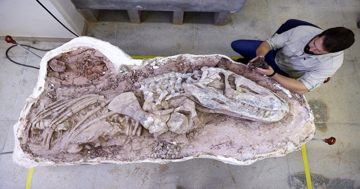Discovery of one of the oldest-ever fossils sheds new light on rise of  dinosaurs