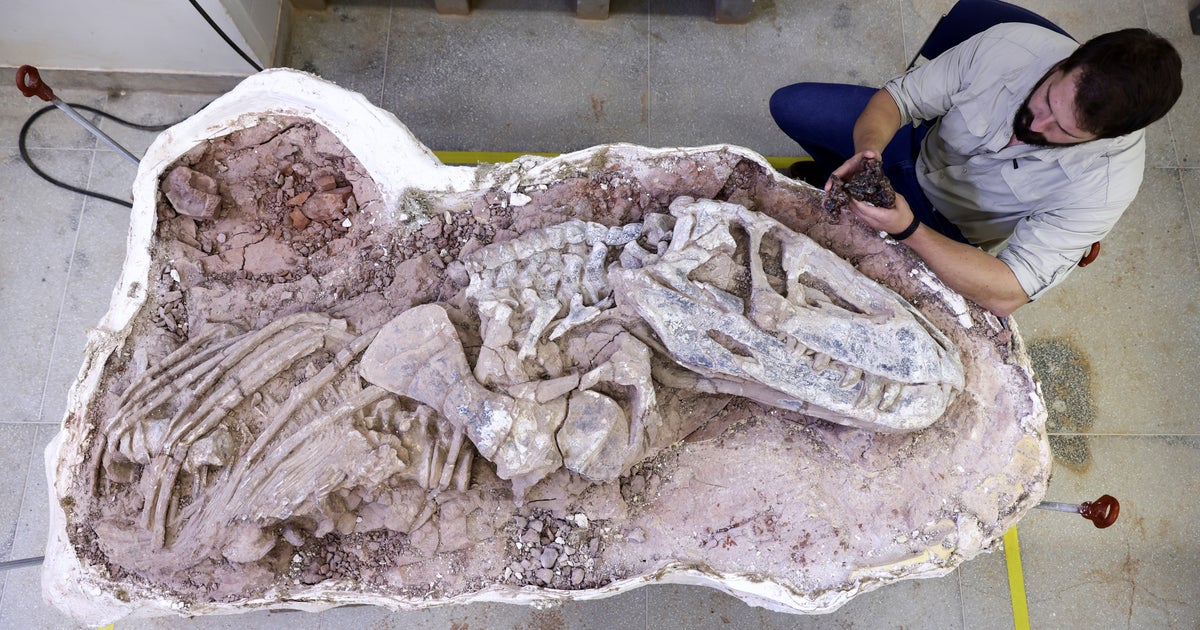 Discovery of one of the oldest-ever fossils sheds new light on rise of dinosaurs