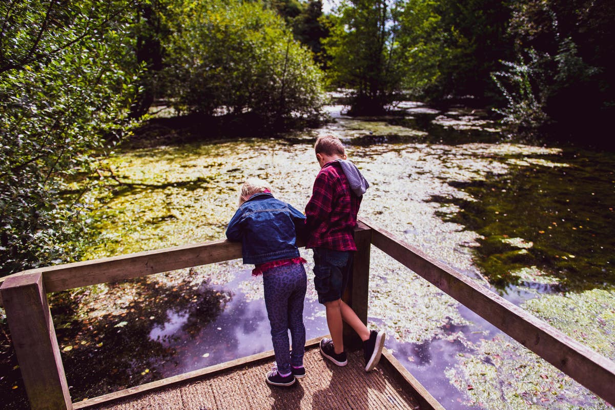 Children in England waiting years for autism and cerebral palsy diagnoses – data