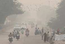 Delhi orders immediate ban on fireworks ahead of Diwali as air quality worsens