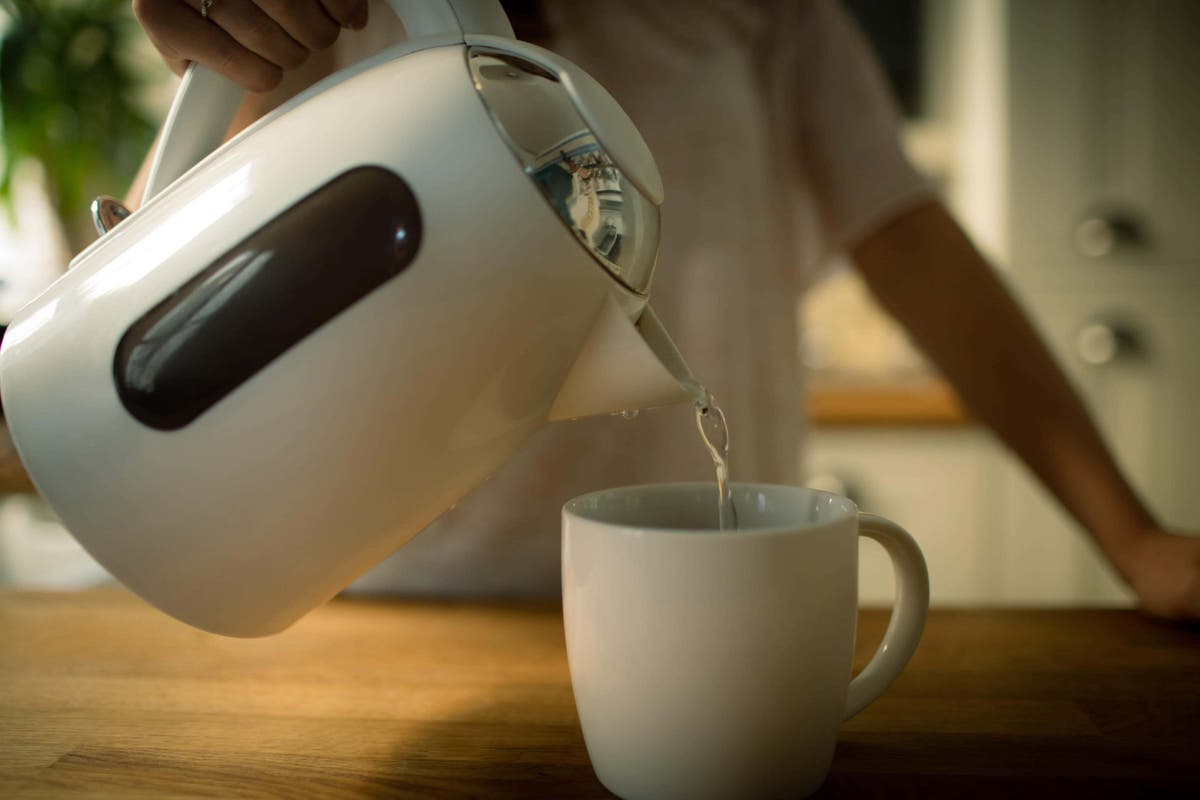 What’s lurking in your kettle if you don’t wash it? What’s lurking in your kettle if you don’t wash it?