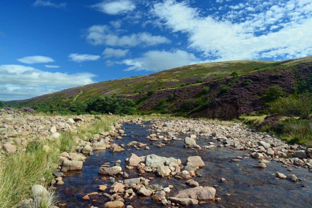 Conservationists are calling for final criteria for which land can count towards the 30% protected target (Alamy/PA)