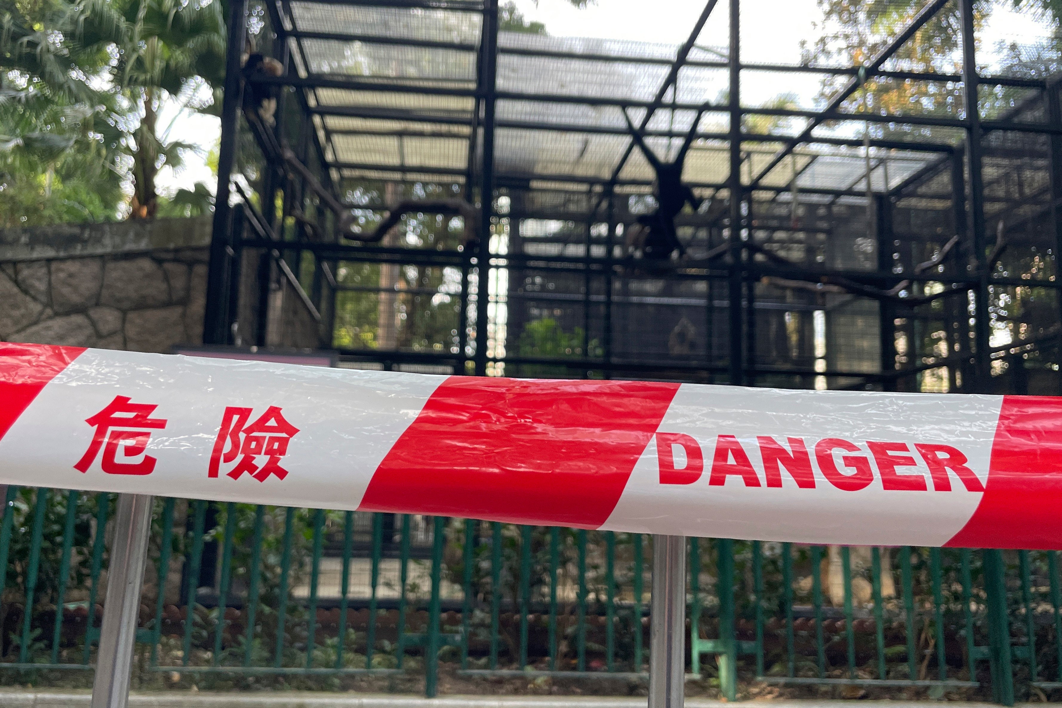 Monkey enclosures are sealed aft  mysterious deaths astatine  the zoo successful  Hong Kong