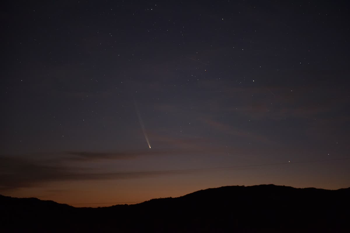 ‘Comet of the century’ seems to develop physics-defying second tail as it zooms past Earth