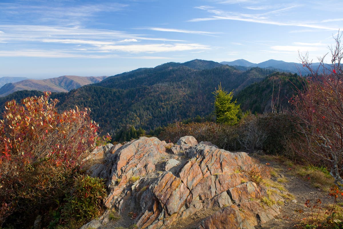 North Carolina’s hidden gems – discover unforgettable beaches, mountains and wildlife