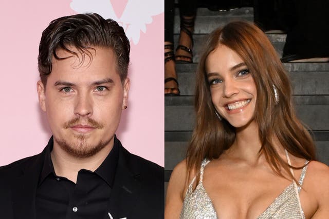 <p>Dylan Sprouse brought cardboard cutouts of he and Barbara Palvin’s French bulldog and cat to Victoria’s Secret Fashion Show </p>