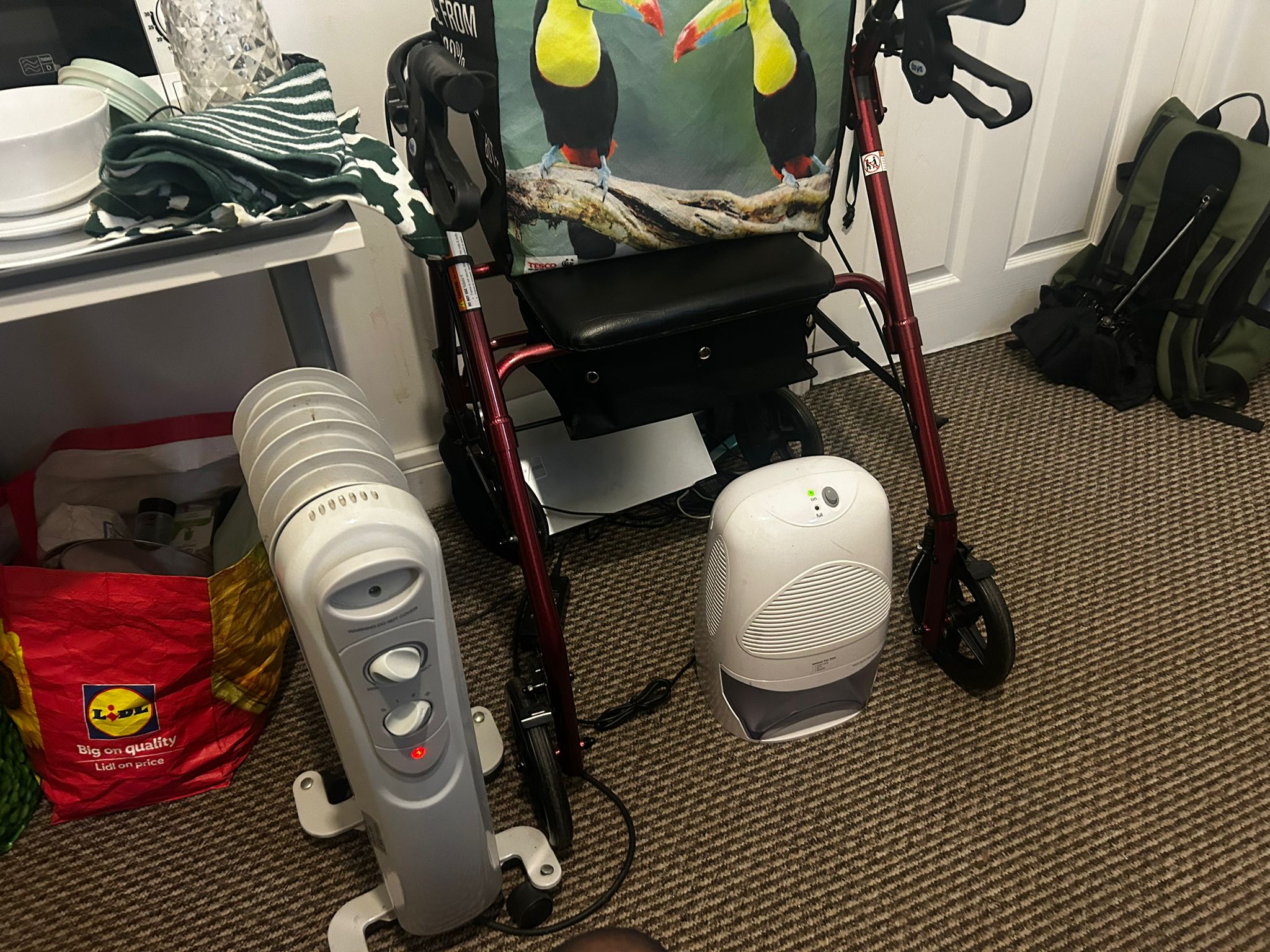 Ms Curtis uses a walker to get around. She has also purchased a portable heater and dehumidifier (pictured) for her room