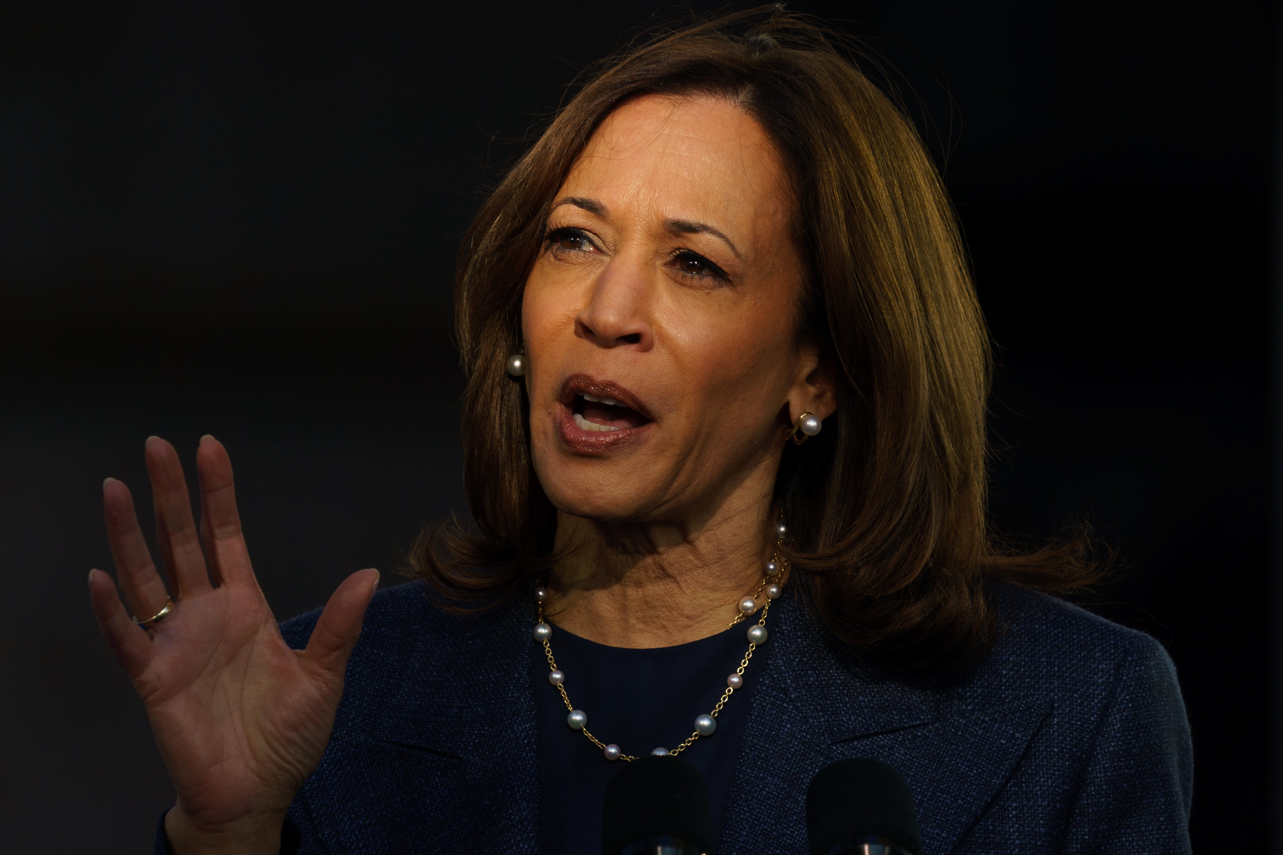 Kamala Harris attends a rally in Bucks County, Pennsylvania, last month