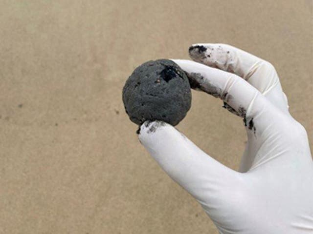 <p>A ‘tar ball’ seen on a Sydney beach </p>