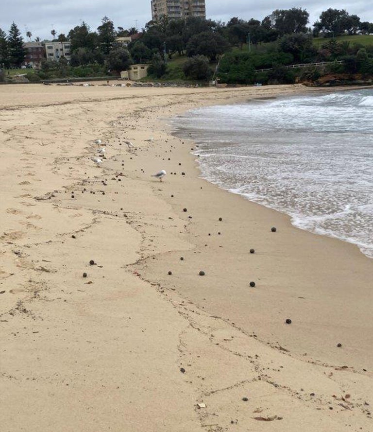 Hundreds of ‘tar balls’ spotted on Sydney beaches in Australia