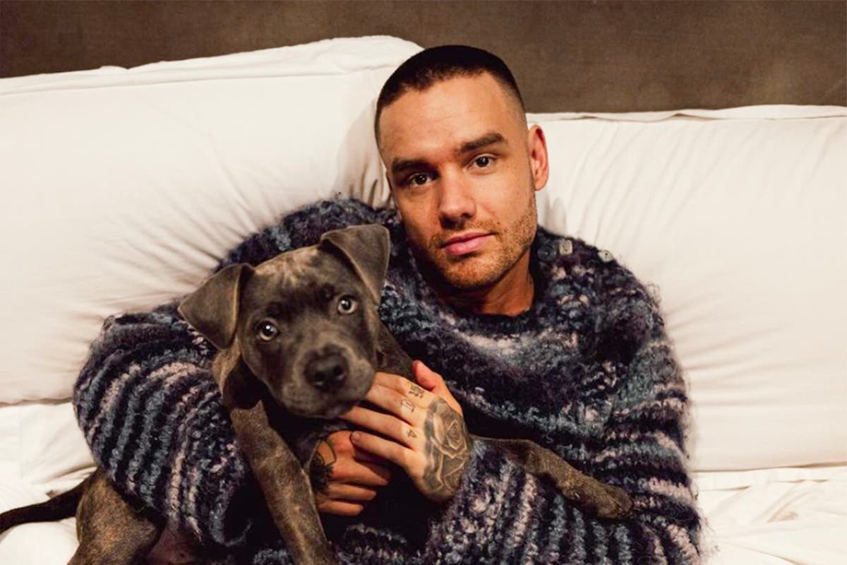 Liam Payne’s life after One Direction: Fame, fall outs and fatherhood