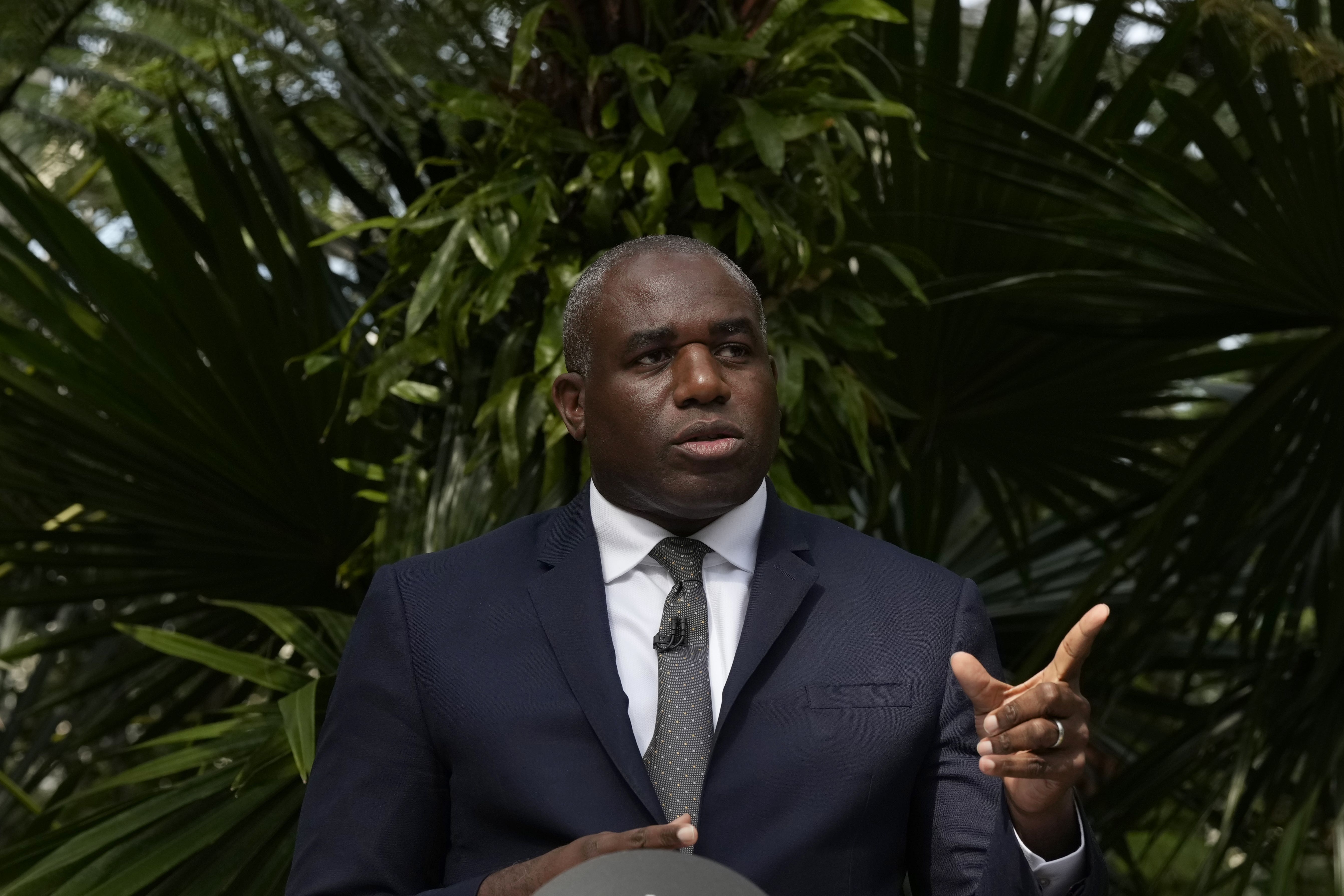 Foreign Secretary David Lammy gives a speech about tackling the climate and nature crisis at Kew Gardens in west London (Frank Augstein/PA)