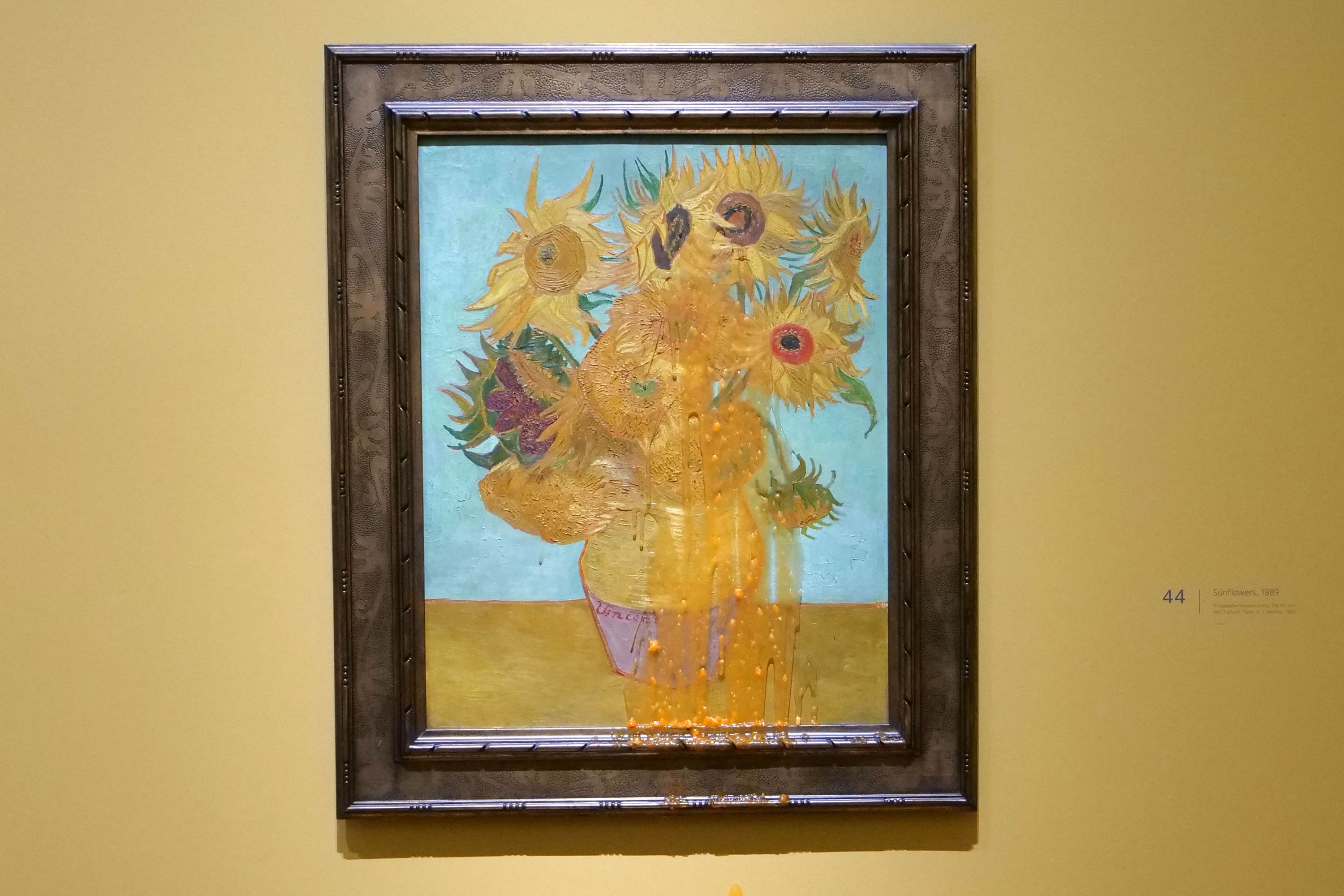 One of two Vincent Van Gogh paintings after it was attacked at the National Gallery in London (Just Stop Oil/PA)