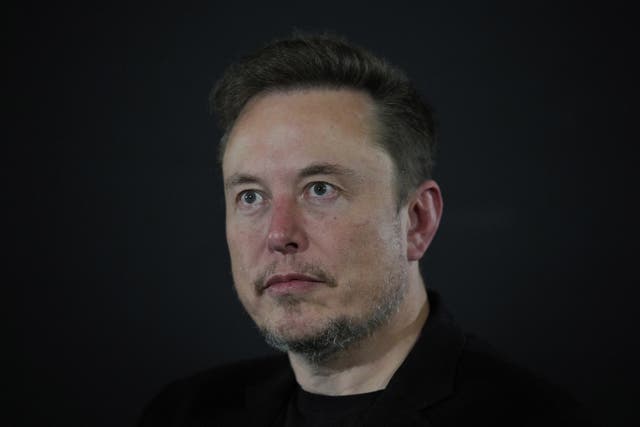 <p>Elon Musk </p>