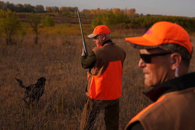 <p> Minnesota governor and Democratic vice presidential candidate, takes part in the annual Minnesota Governor's Pheasant Hunting Opener near Sleepy Eye, Minn., Saturday, Oct. 12, 2024</p>