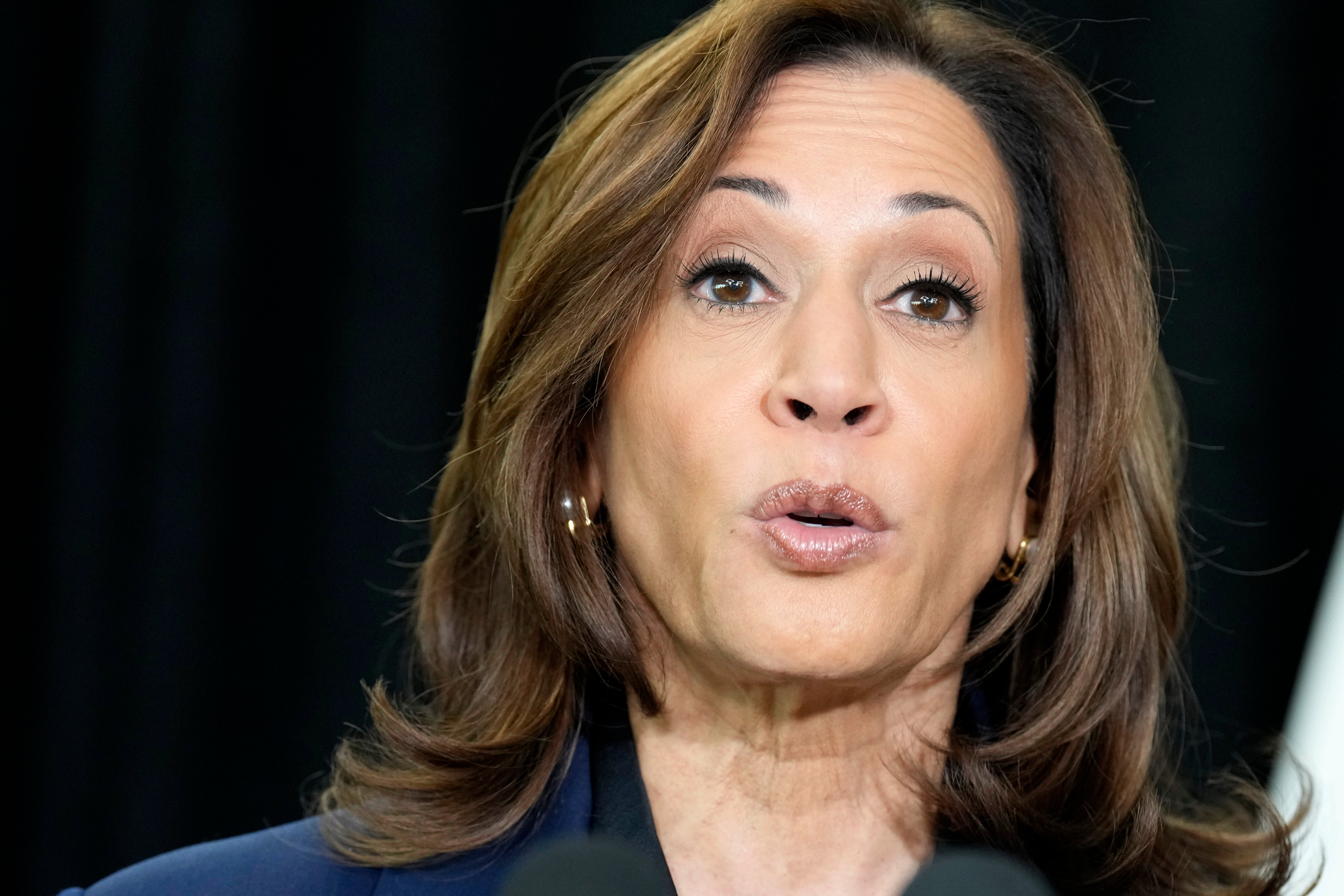 Election 2024 Harris