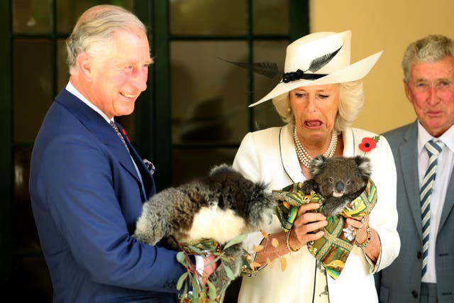 Camilla reacts as she and Charles hold koalas on a visit to Adelaide in 2018 (Chris Radburn/PA)