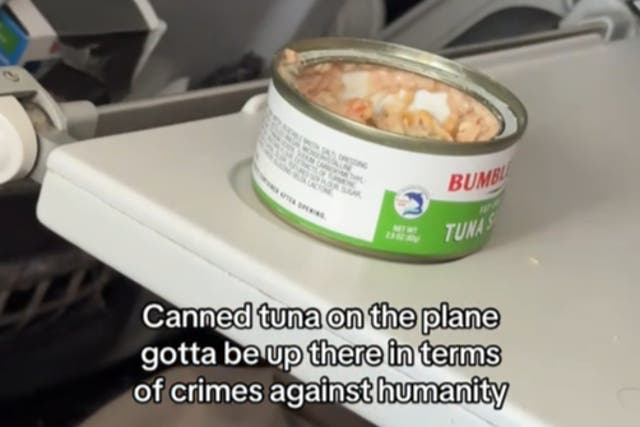 <p>A passenger brought out a fishy snack while on a trip from  Anchorage to Seattle</p>